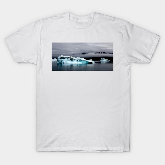 Stormy Day T-Shirt by Memories4you